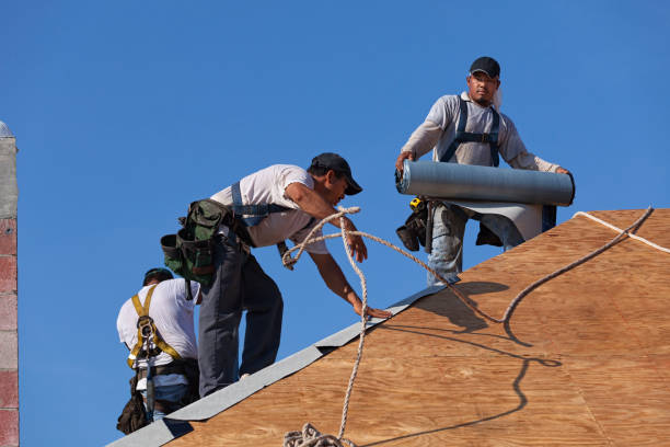 Best Storm Damage Roof Repair  in Selma, NC