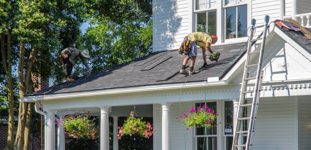 Best Metal Roofing Contractor  in Selma, NC